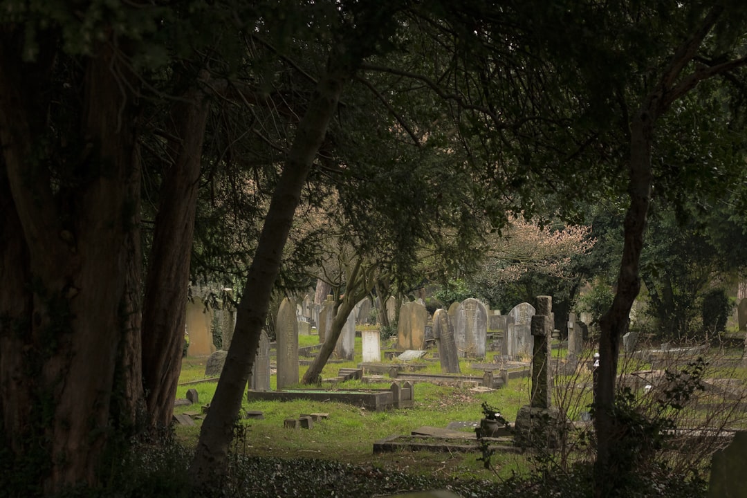 one perspective angle photo of graves, Hanwell Cemetery