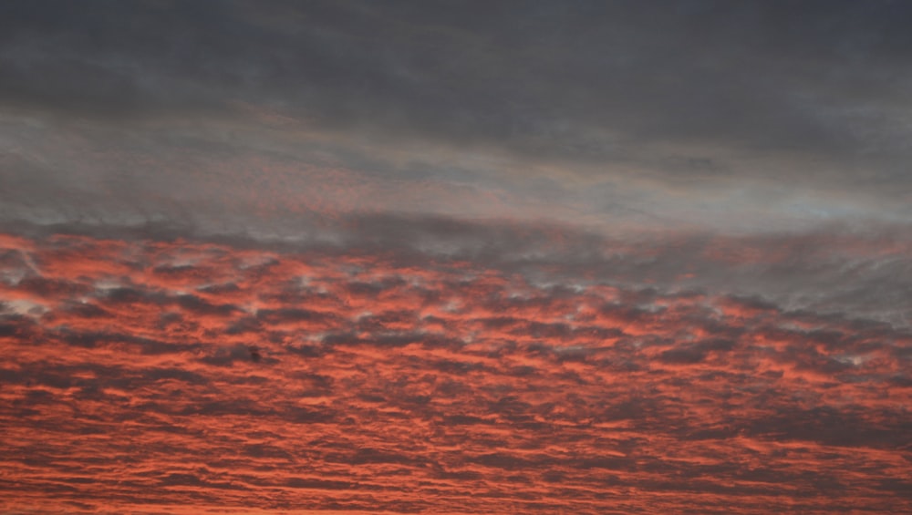 bird's eye view photo of red skies