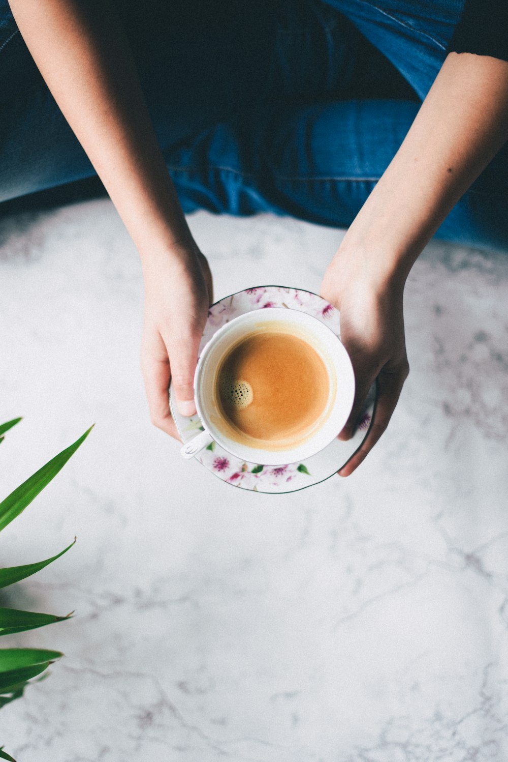 flat-lay photography of person holding teacup