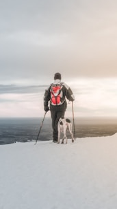 A person wearing outdoor gear and a backpack stands on a snowy surface while holding walking poles. Next to the person, a dog faces the same direction, overlooking a vast landscape. The sky is overcast with hints of sunlight breaking through.