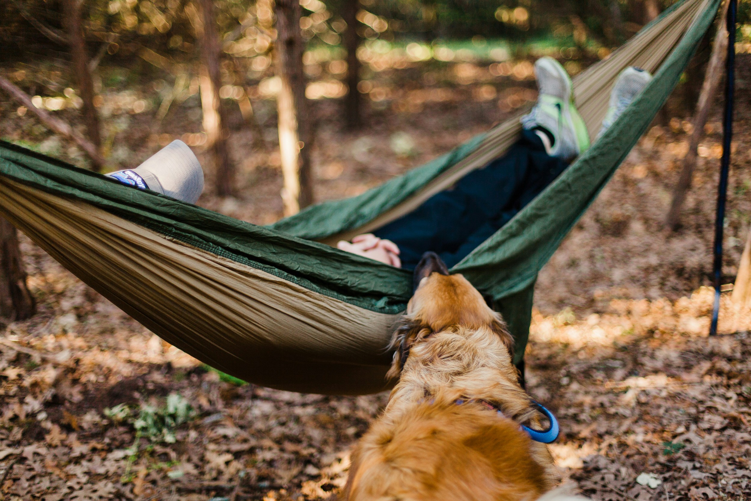 Choose Your Favorite Hammock