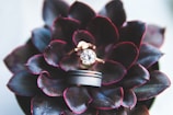 gold-colored ring with gemstone on black flower