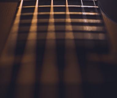 close-up photo of guitar strings