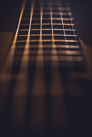 close-up photo of guitar strings