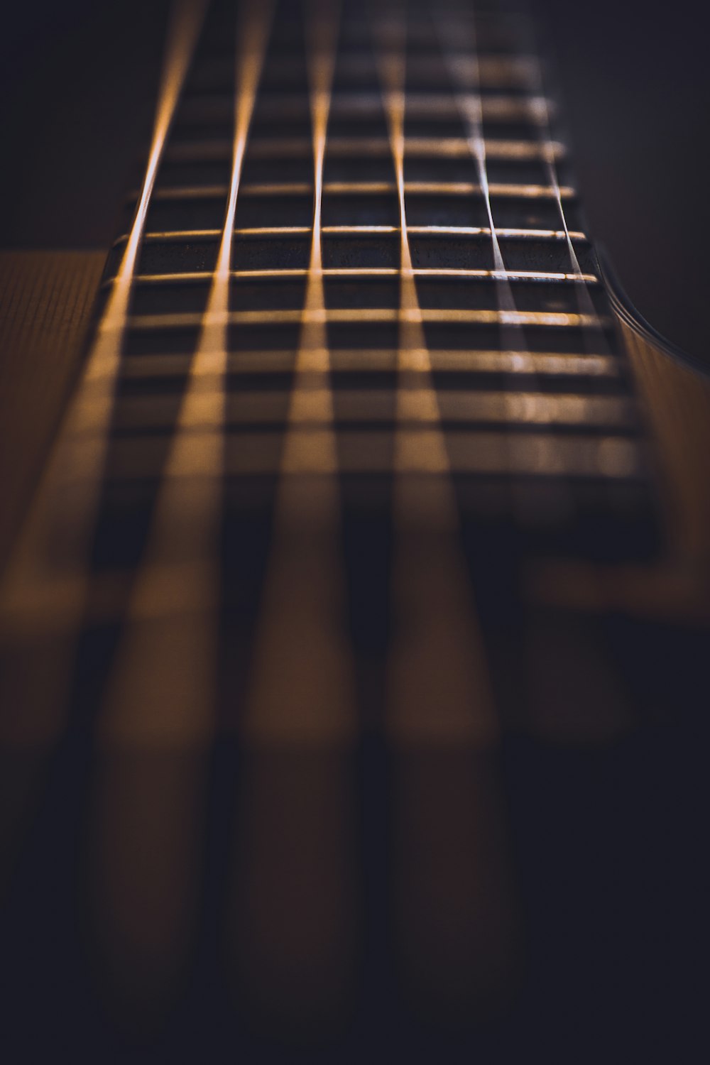 close-up photo of guitar strings