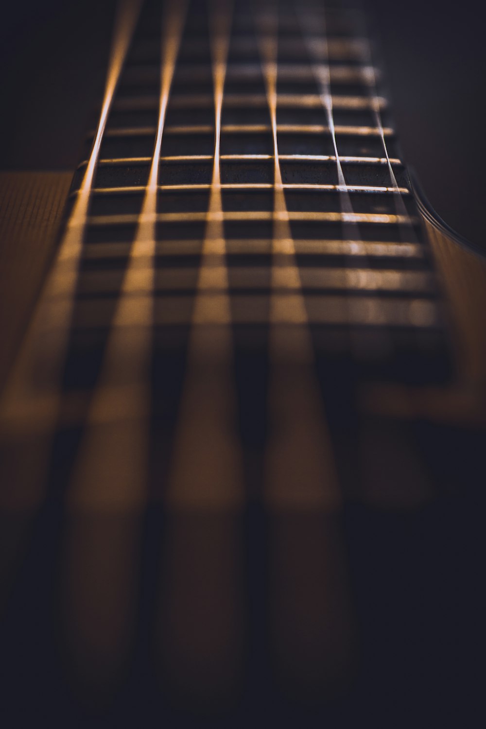 photo en gros plan de cordes de guitare
