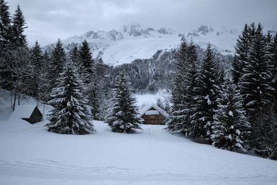 house between trees near mountain in Valmorel France