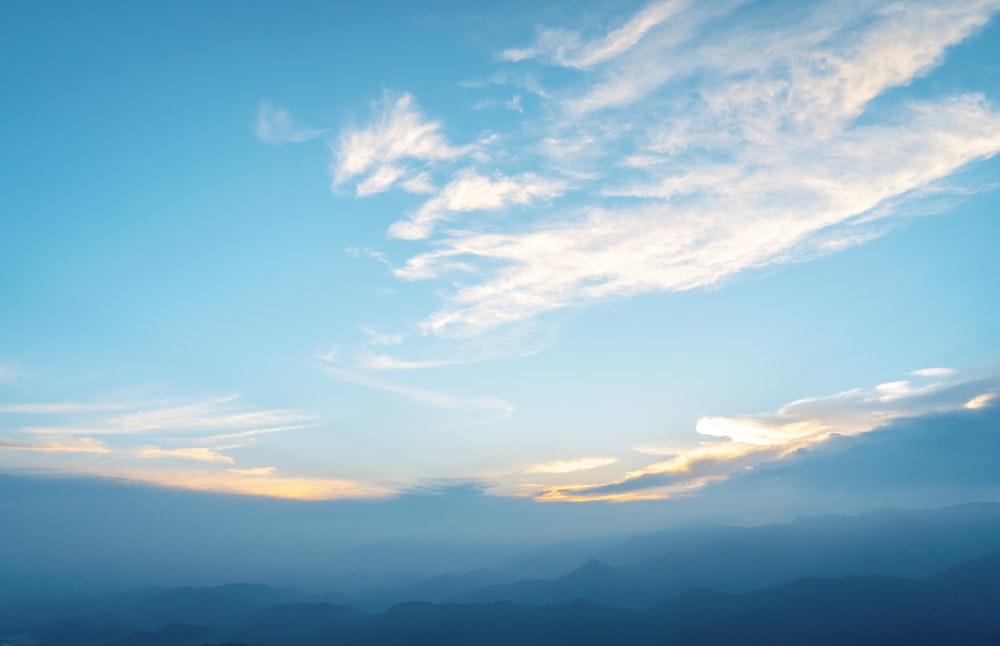 blue and white skies