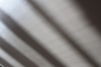 Soft, diffused light creates gentle shadows across a smooth, textured surface.