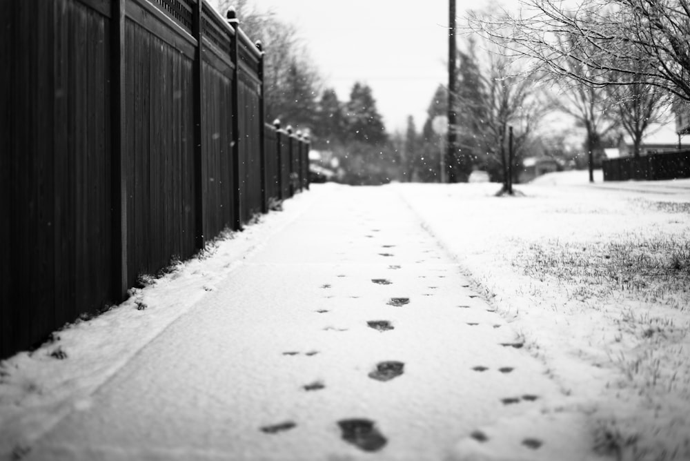 Photographie en niveaux de gris d’empreintes de pas sur la neige