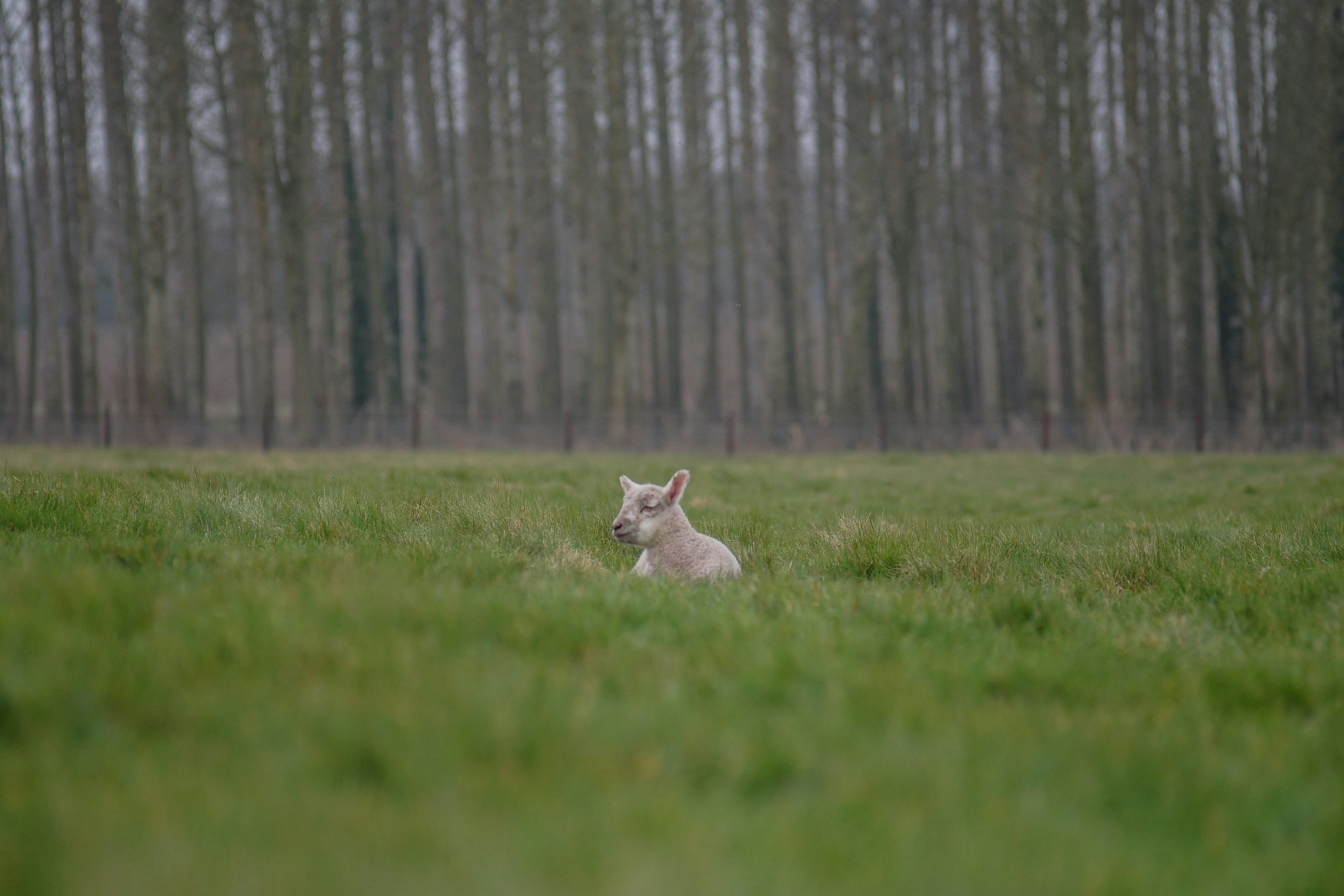 Photo by alex_hayandrice