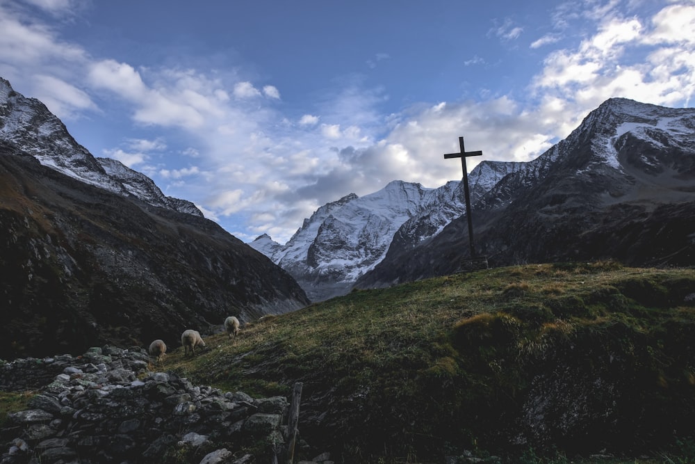 Fotografie des Bergtals mit Schafen und Kreuz