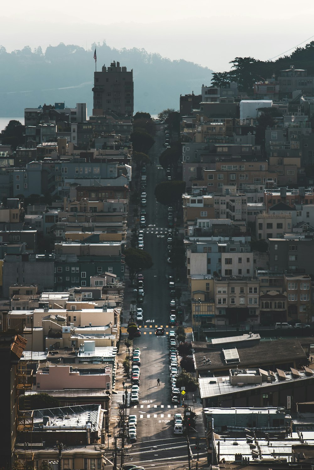 aerial photography of city during daytime