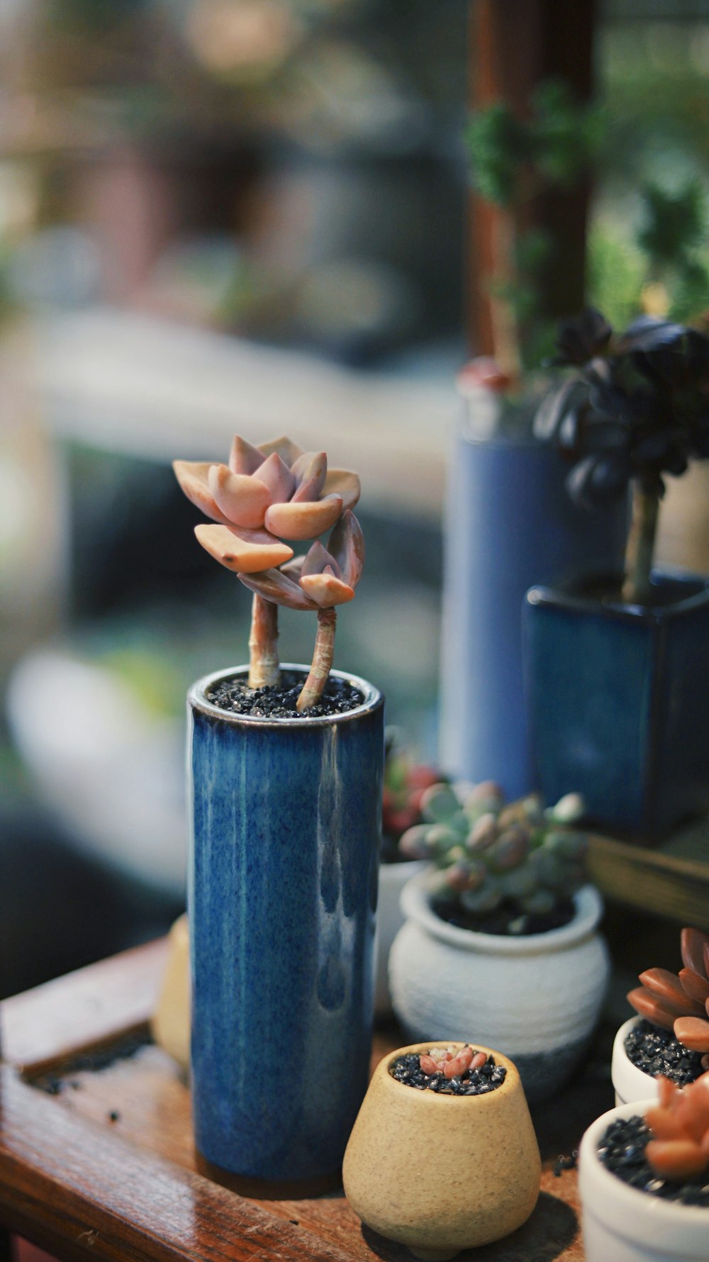 blue ceramic vase