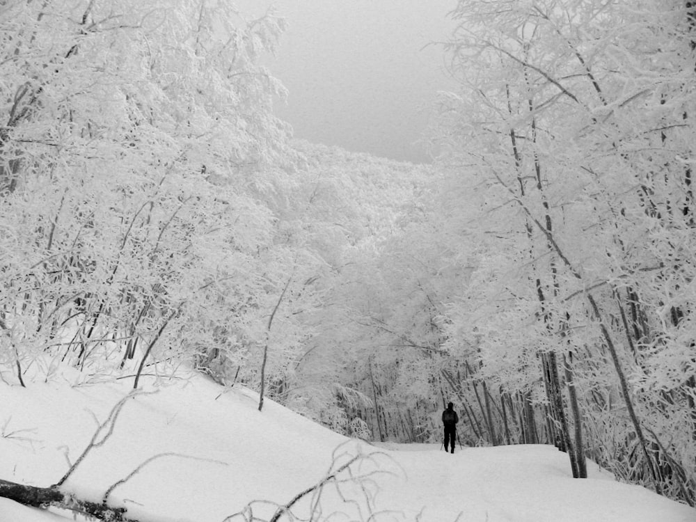 昼間、雪に覆われた丘の上を歩く男
