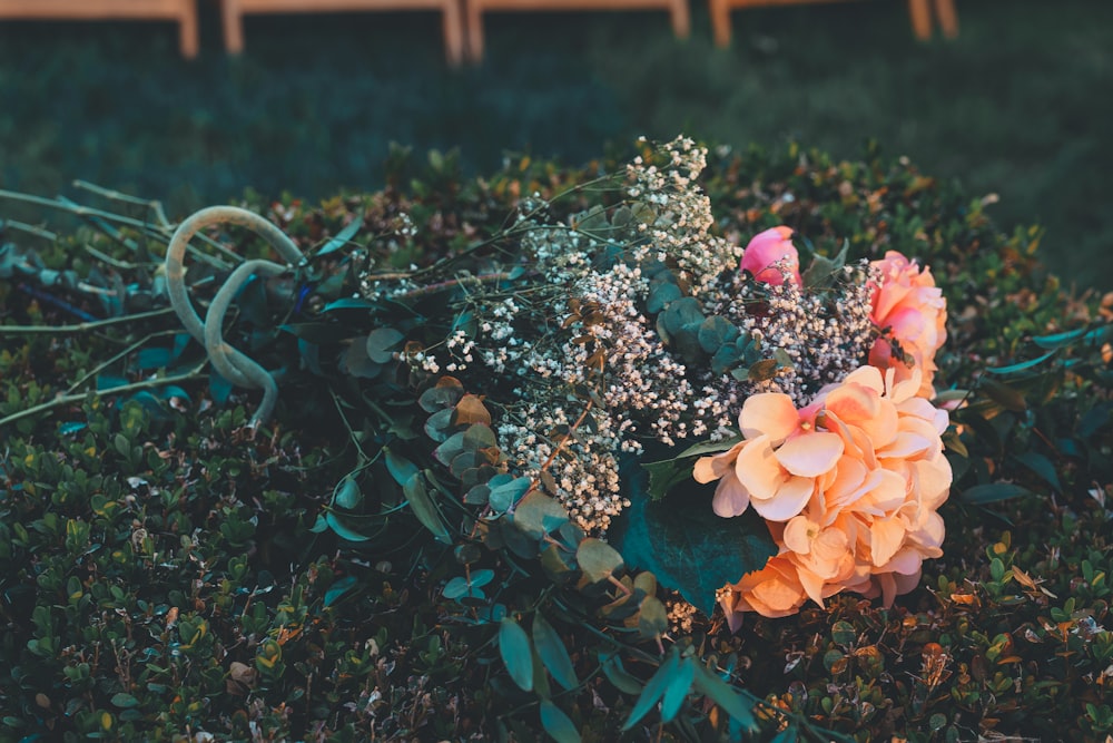 orange flowers