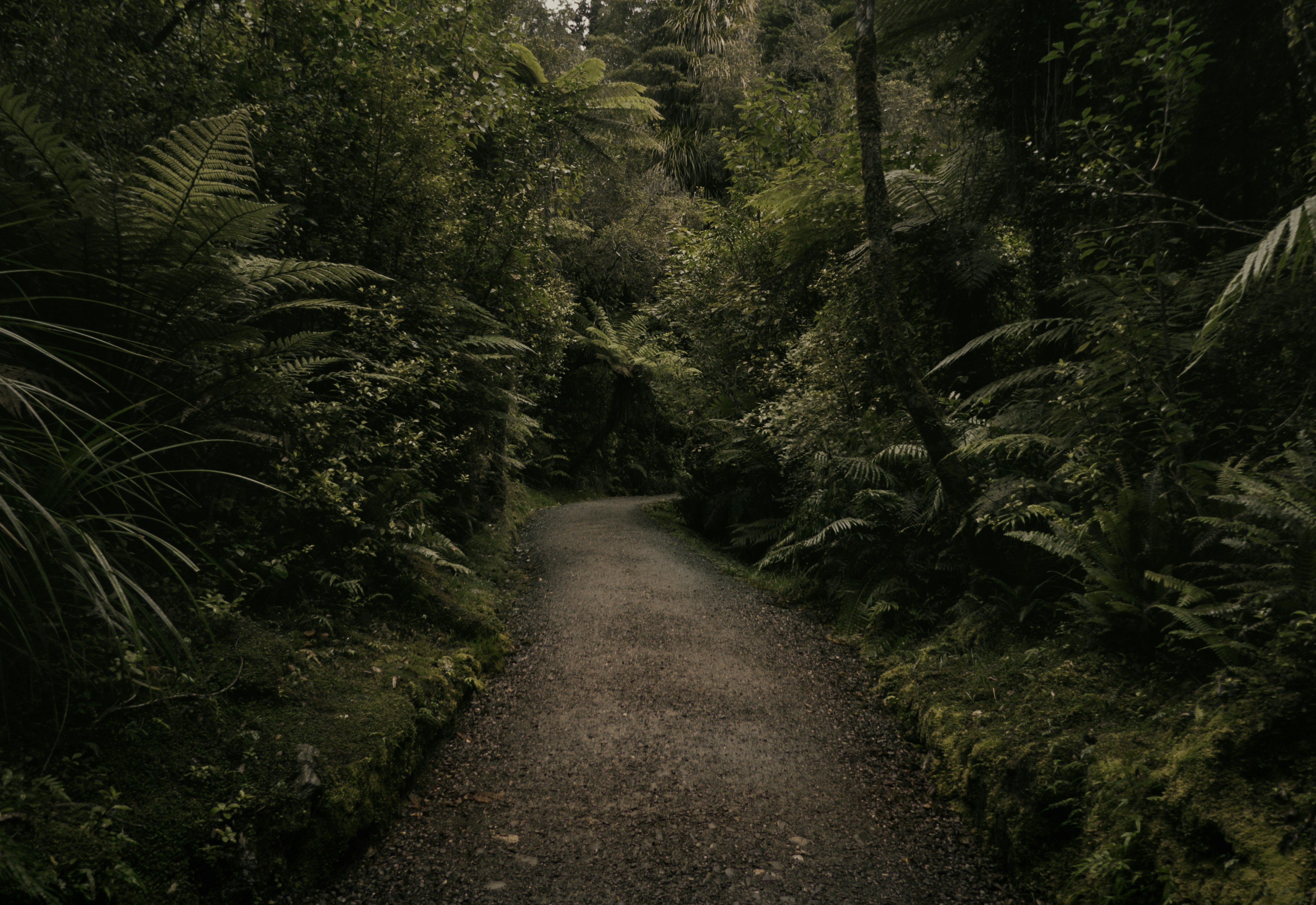 Overgrown