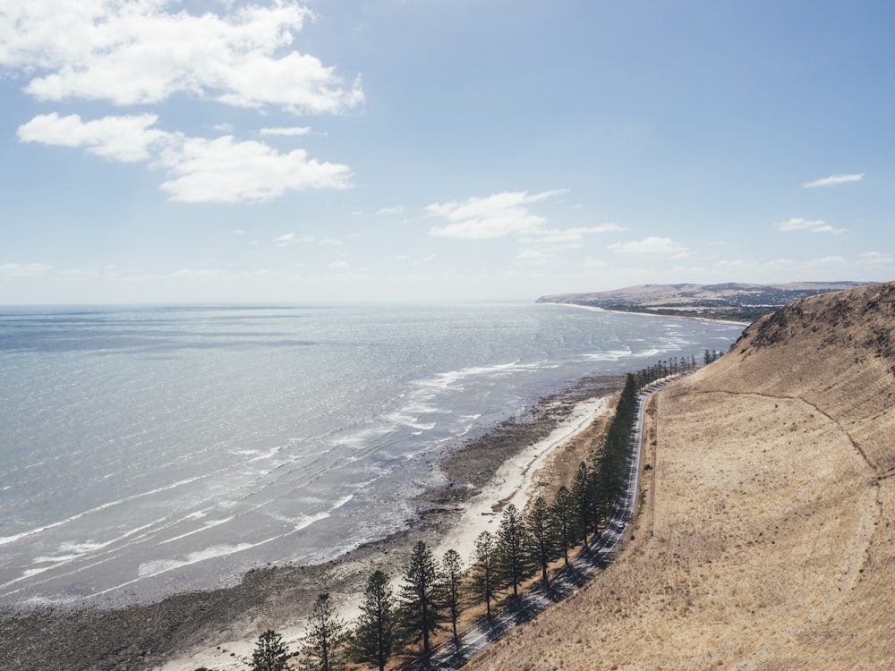 bird's eye view photography of seashore