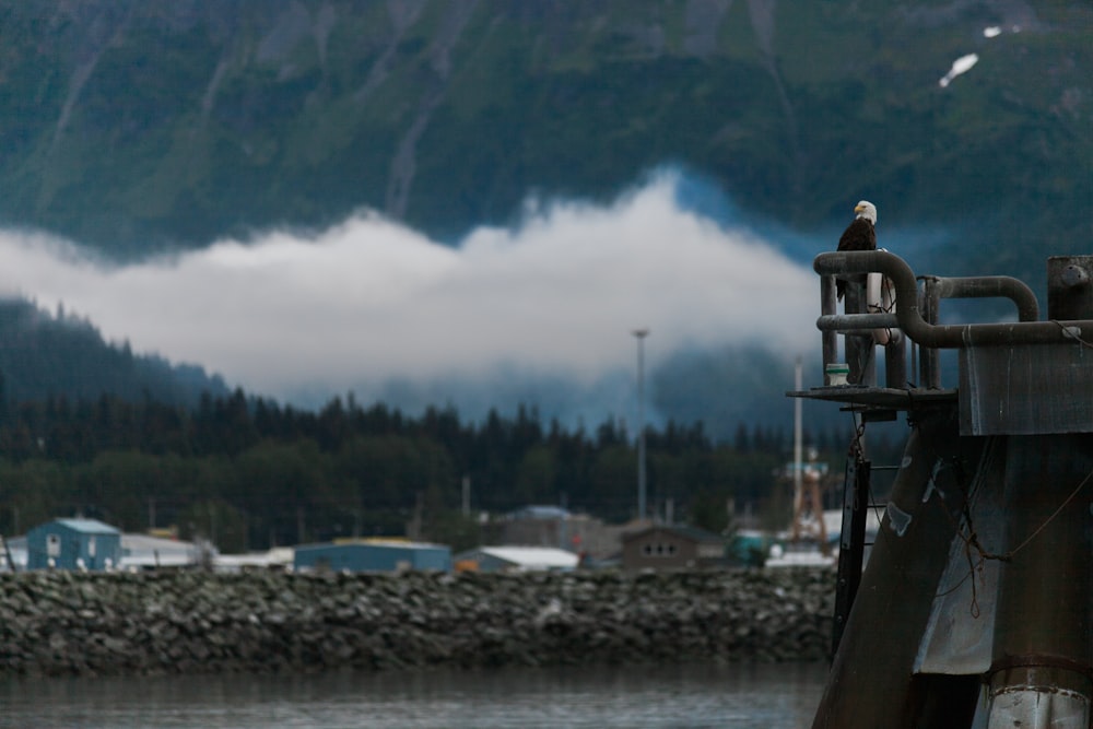 man standing near body of water