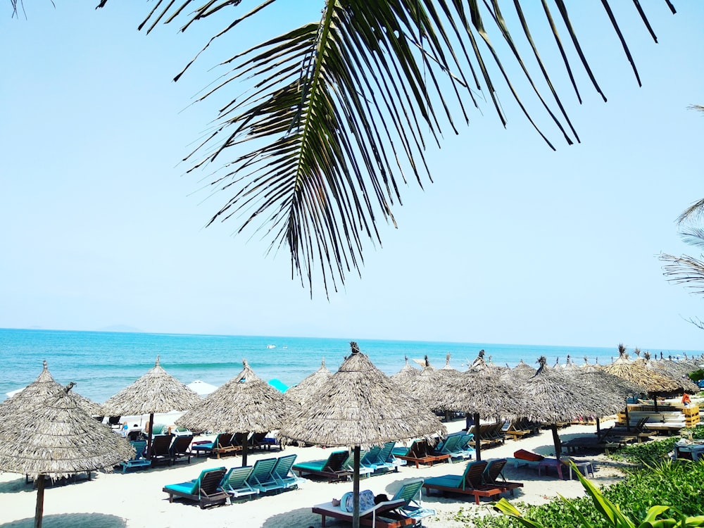 sunloungers under canopy on beach