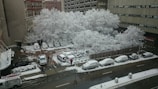 A snow-covered urban parking lot is surrounded by tall buildings. Several parked cars are blanketed with snow, and trees lining the lot are coated with a thick layer of snow. Two people are walking along the wet, partially cleared path, while a moist street runs parallel to the lot.