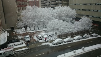 A snow-covered urban parking lot is surrounded by tall buildings. Several parked cars are blanketed with snow, and trees lining the lot are coated with a thick layer of snow. Two people are walking along the wet, partially cleared path, while a moist street runs parallel to the lot.