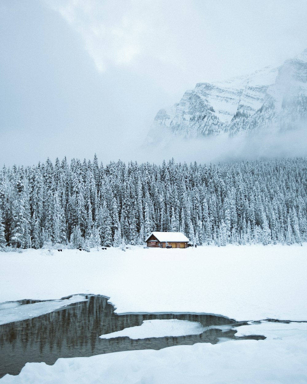 雪の中の森のそばの茶色の小屋