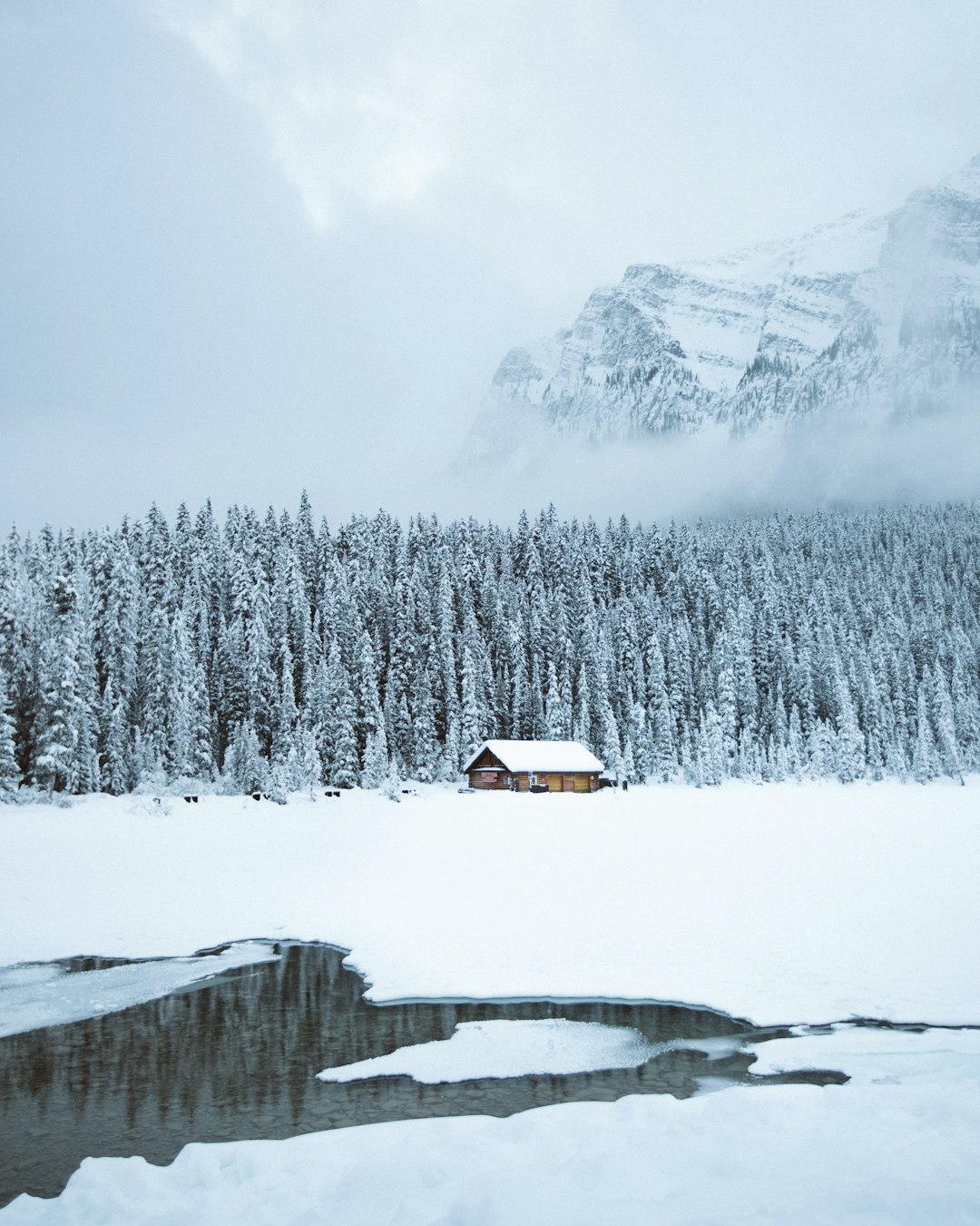 brown shack beside forest during snow