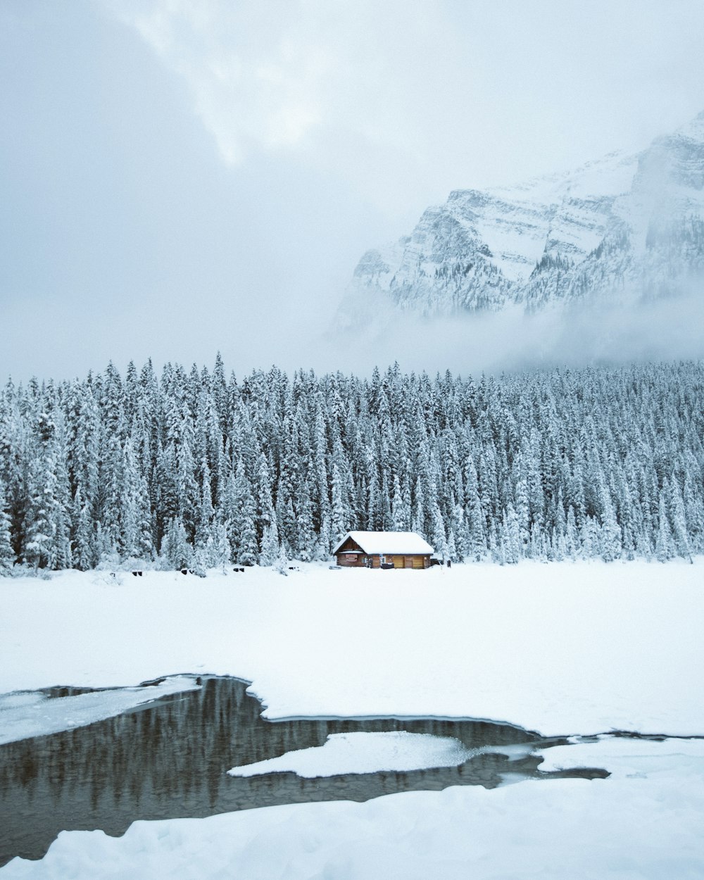 brown shack beside forest during snow