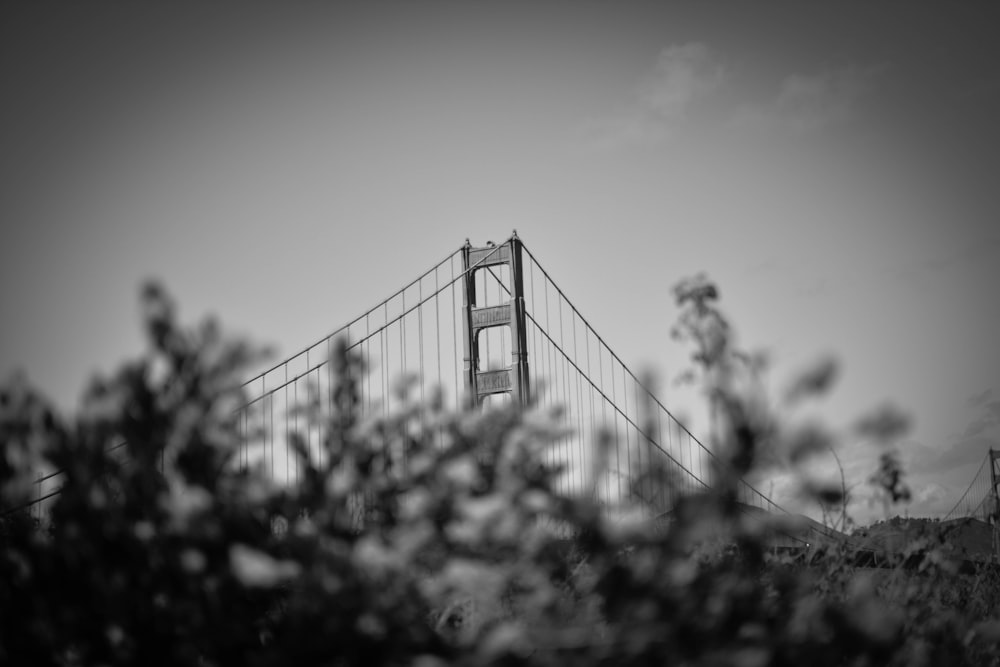 gray bridge grayscale photo