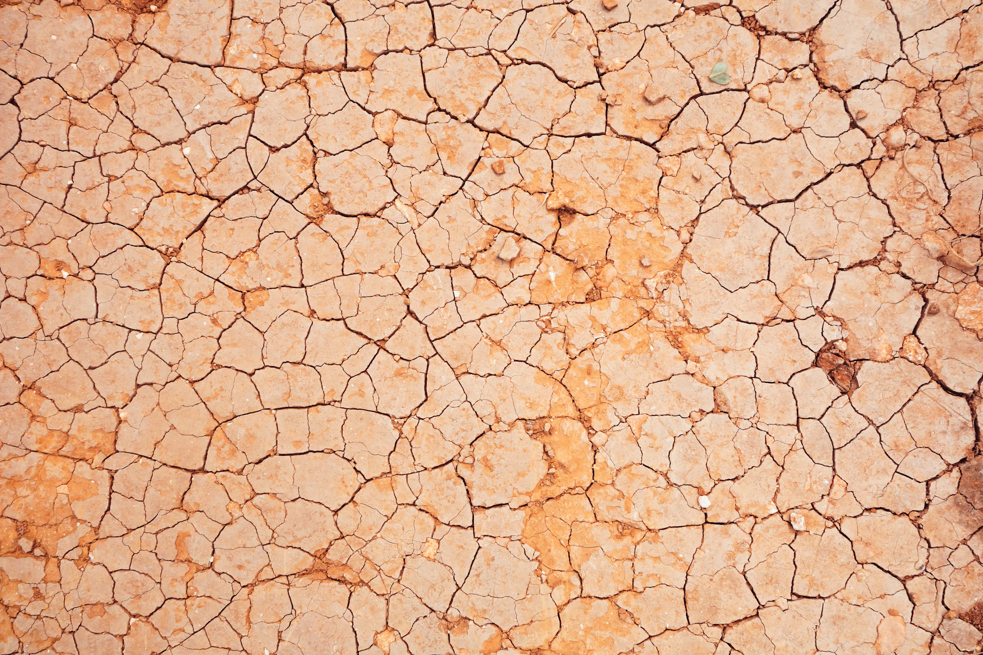 A close-up of dry, deeply cracked earth, warm ochre tones spreading in every direction