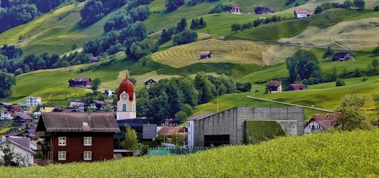 men's black and white t-shirt in Lauerz Switzerland