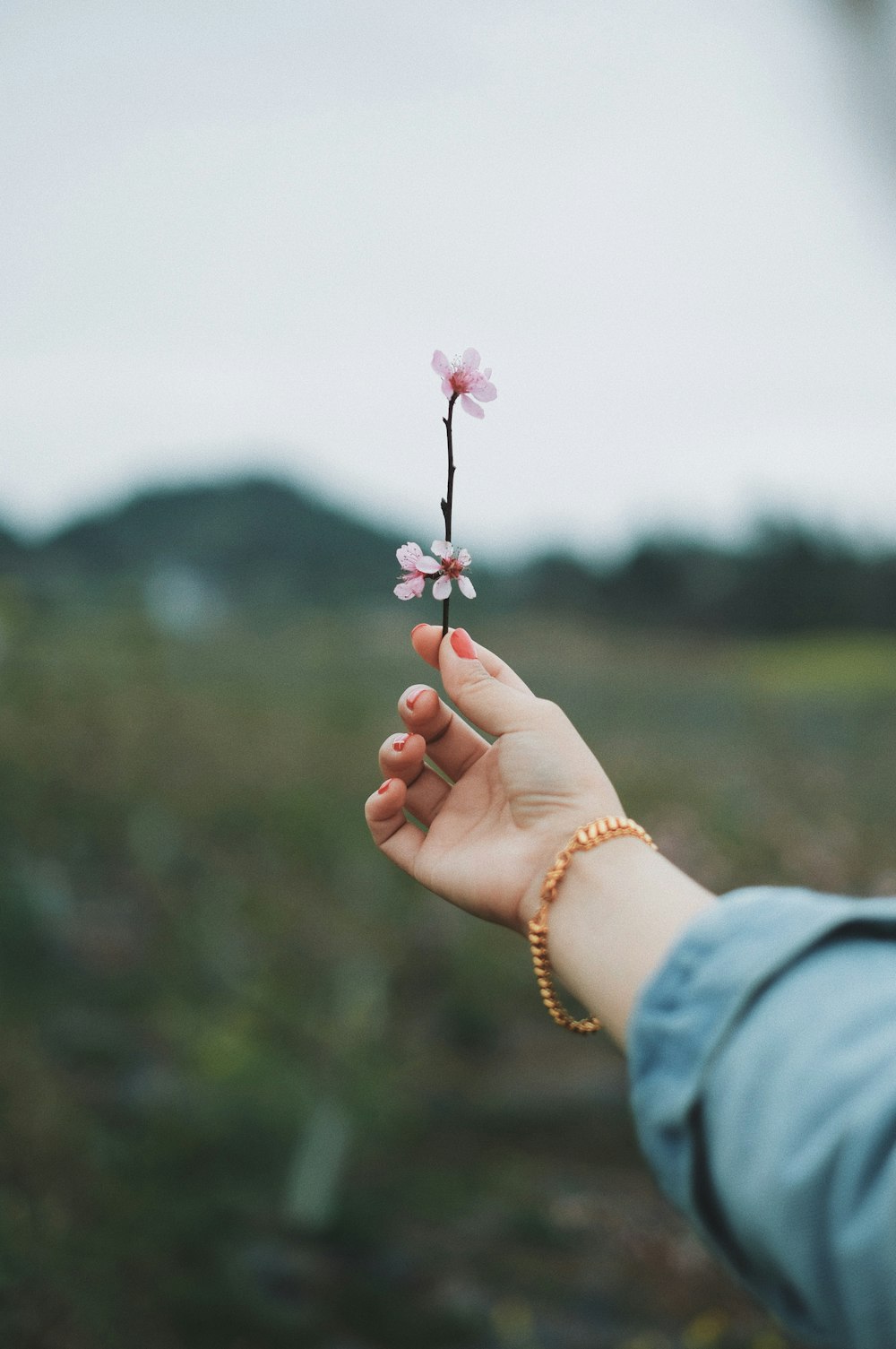 ピンクの花びらを持つ人