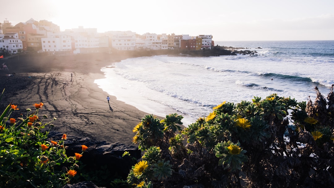 Beach photo spot Puerto de la Cruz Playa de la Arena