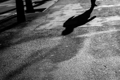 Runner's shadow cast on a pavement during golden hour