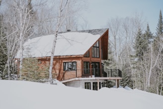 cabin near snowy forest