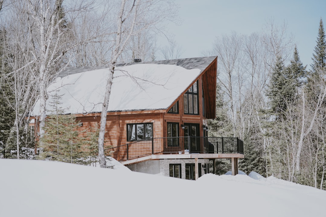 cabin near snowy forest