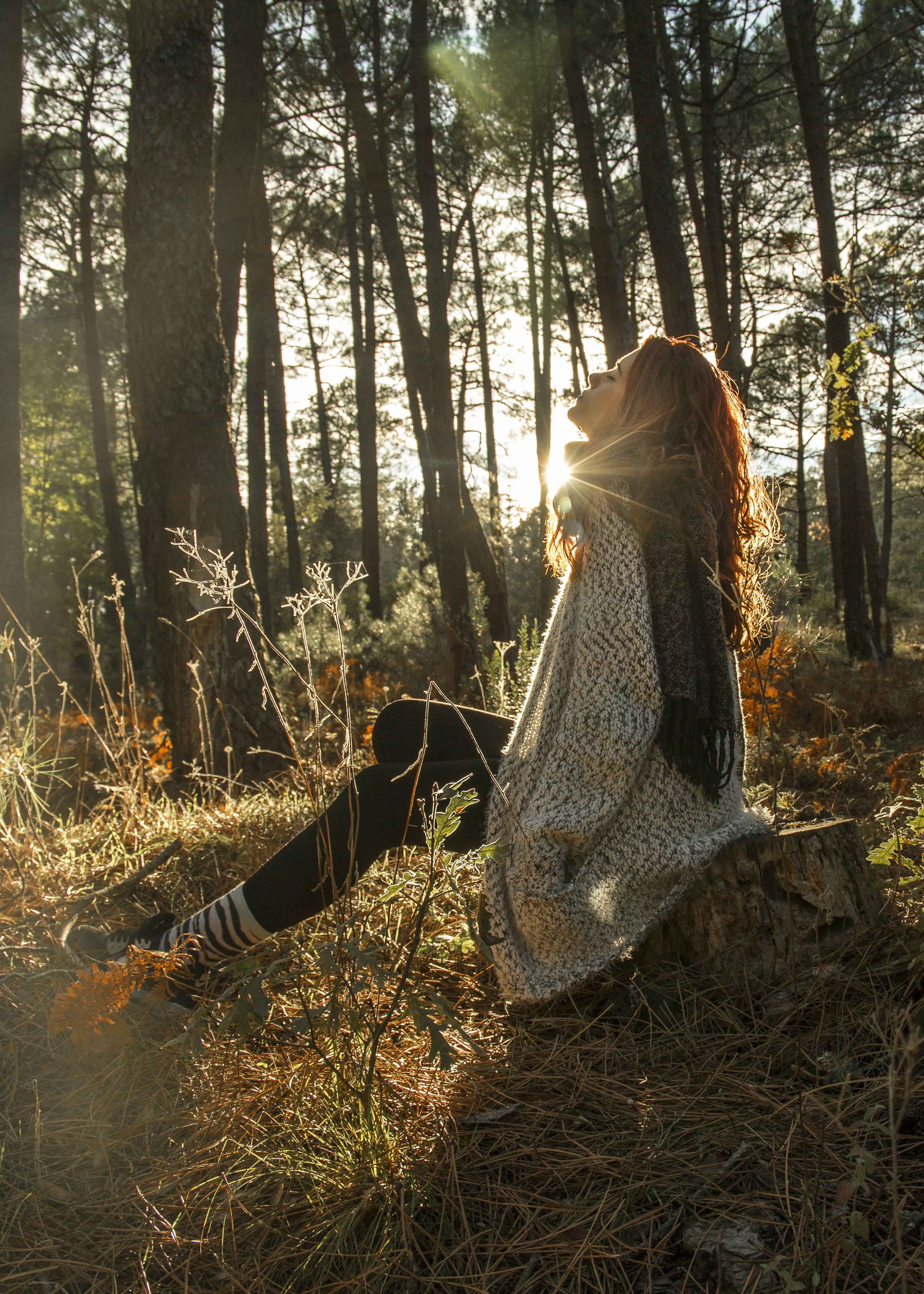 向往的生活1免费观看西瓜，向往的生活1免费观看西瓜影视