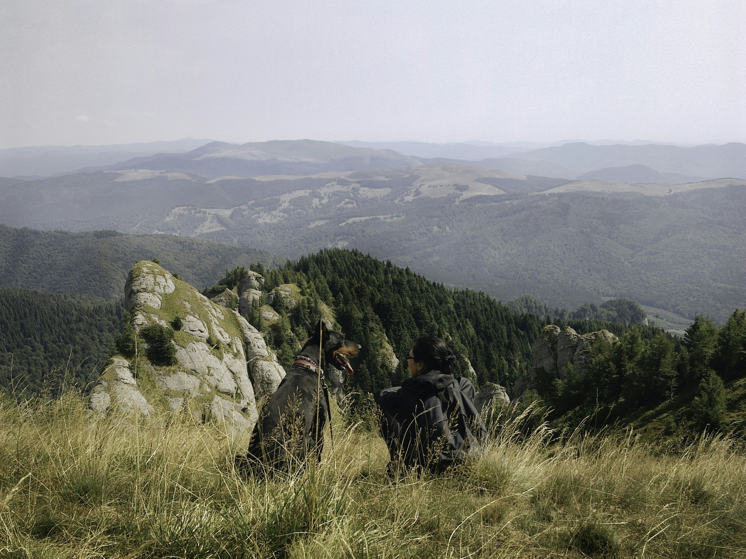 woman sitting beside the Doberman pinscher