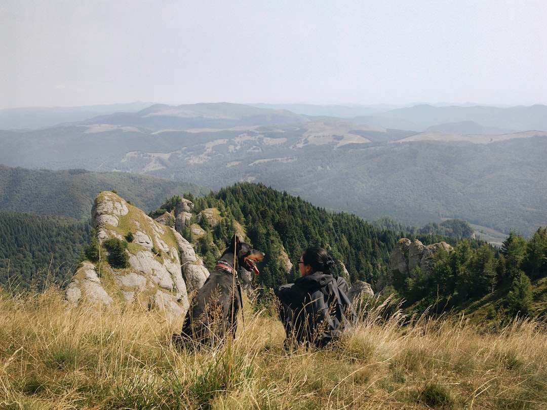 Hill photo spot GropÈ™oarele Bran