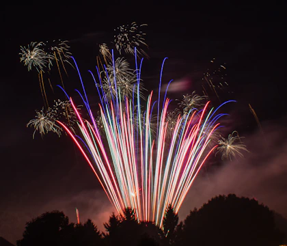 silhouette of tree under multicolored fireworks