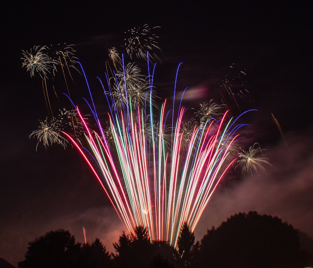 silhouette of tree under multicolored fireworks