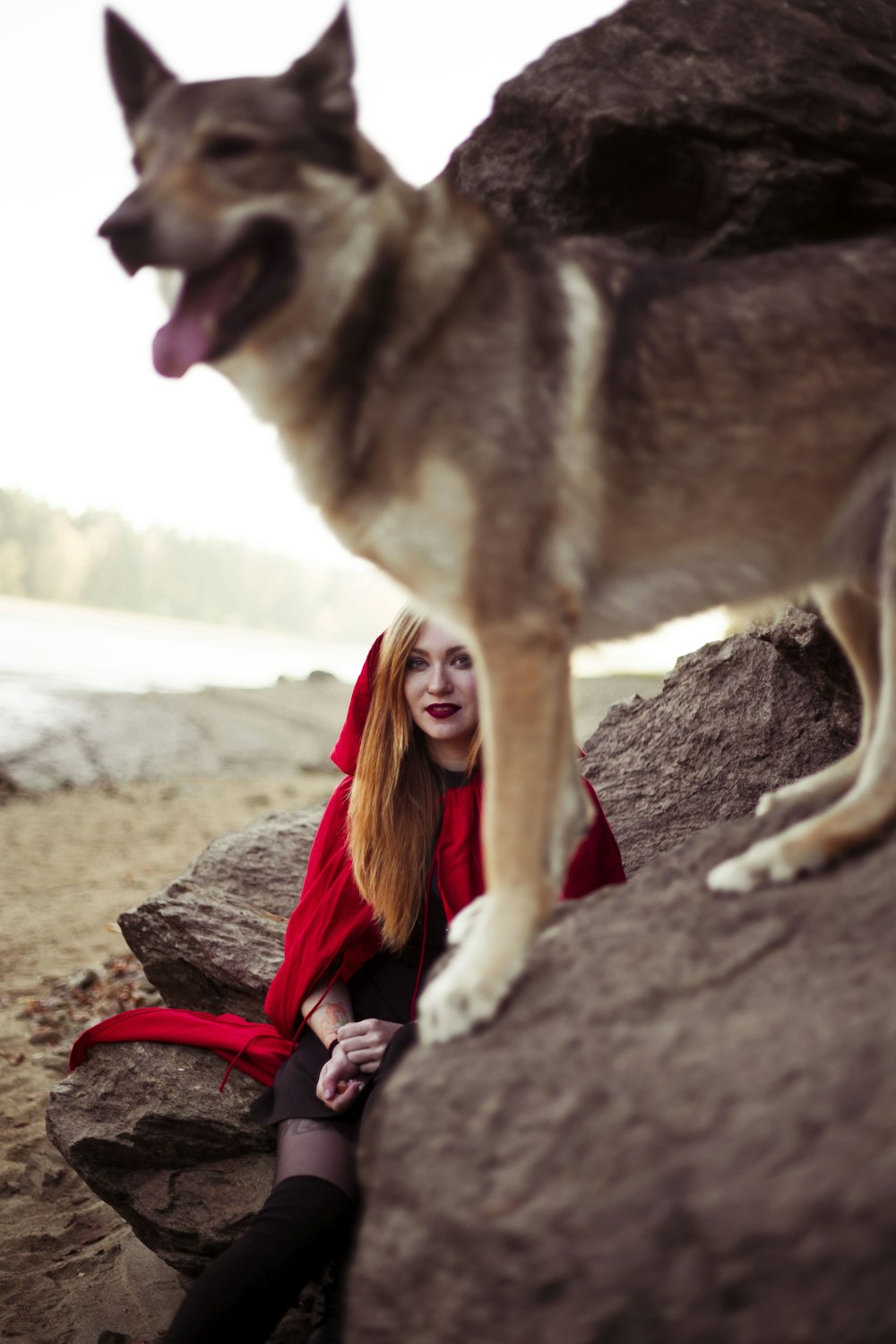 woman wearing red hood near dog