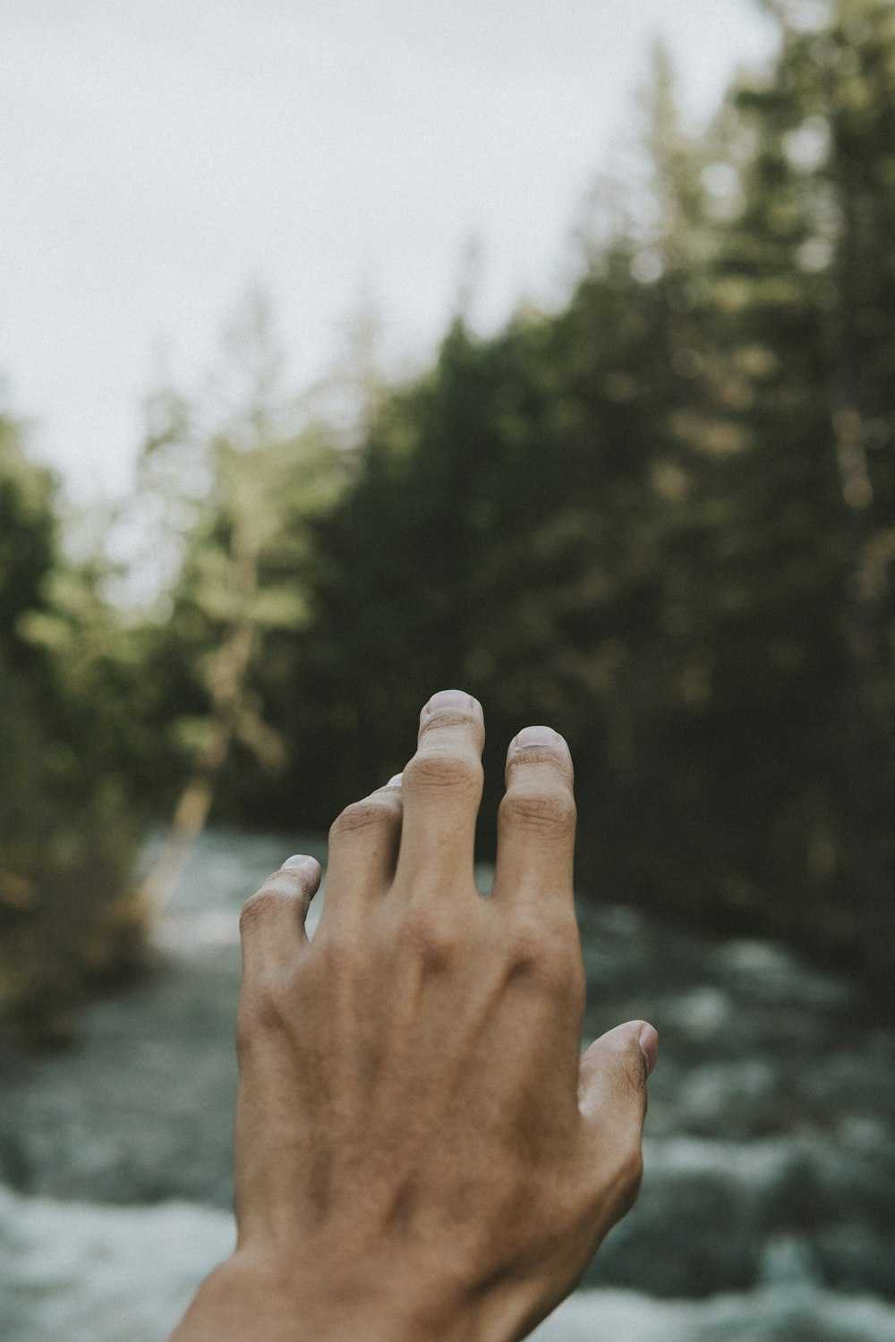 La mano de la persona en un enfoque superficial