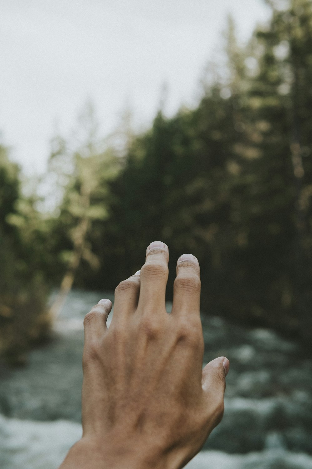 person's hand in shallow focus