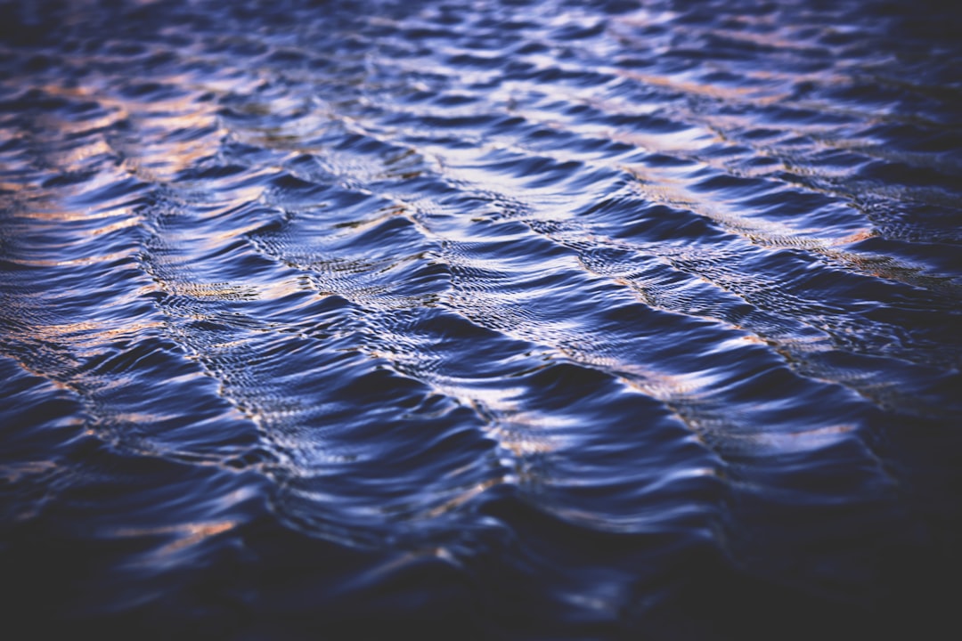 calm body of water at daytime