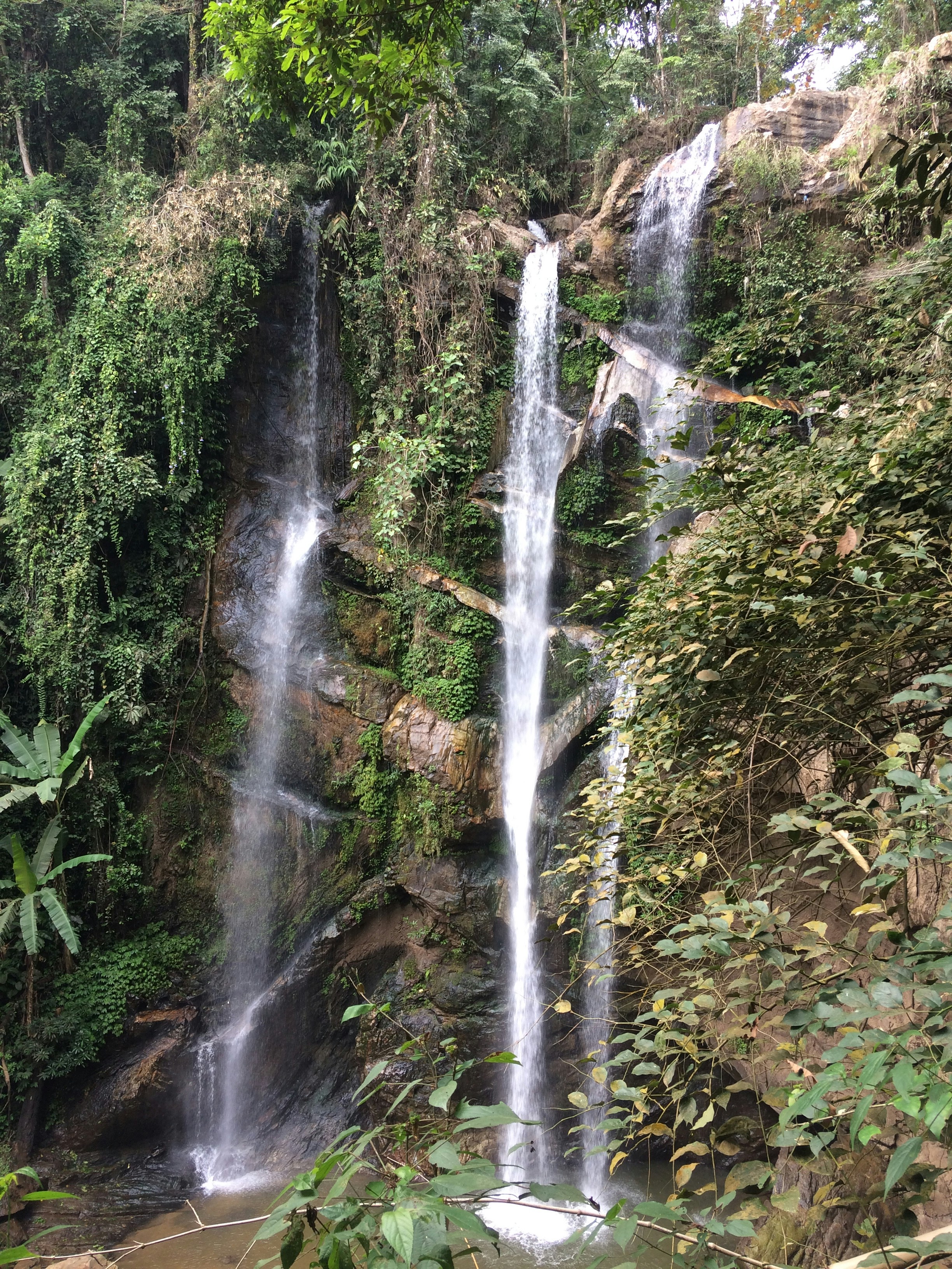 Tall waterfall cascading down lush green jungle cliffs into a clear pool below
