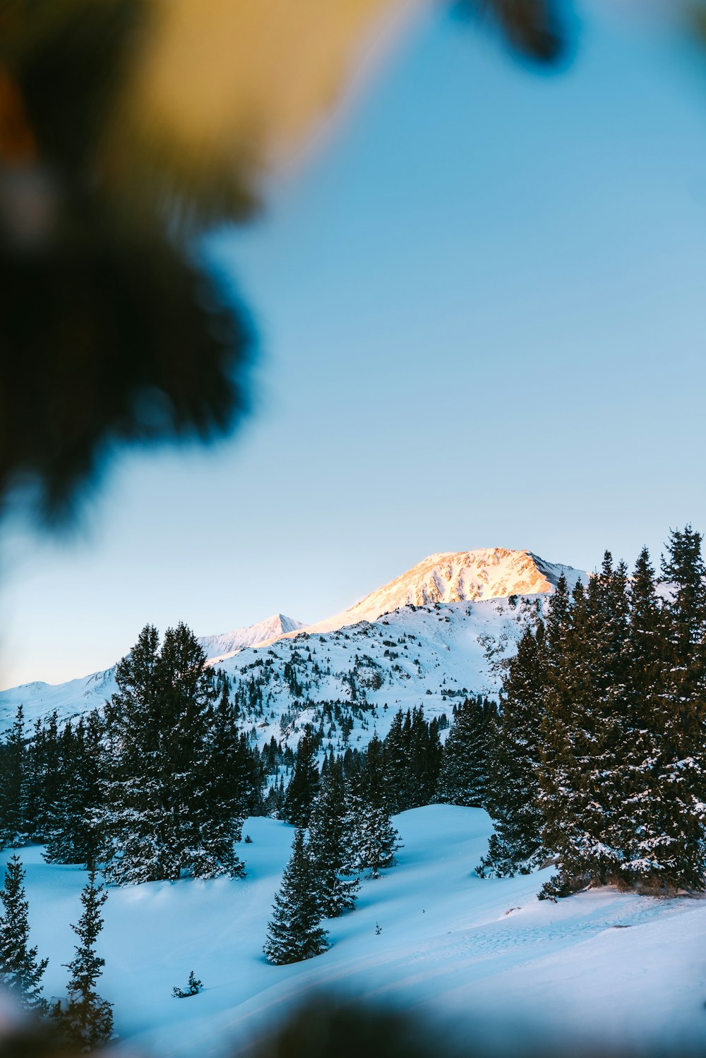 landscape photo of gray mountain covered with snow