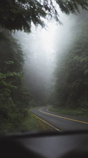 A winding trail disappearing into a misty forest on a mountain hillside