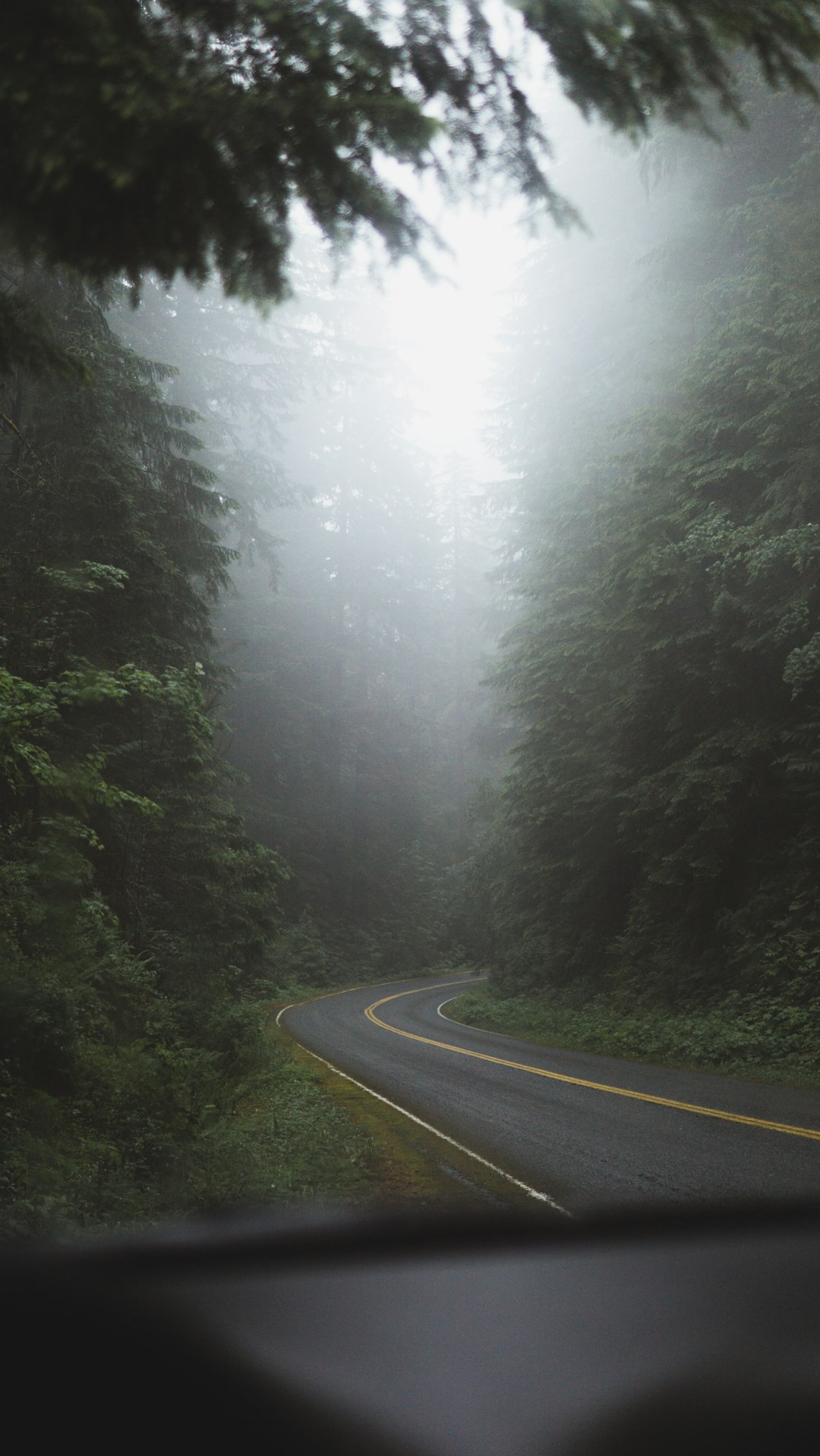 concrete road near trees at daytime